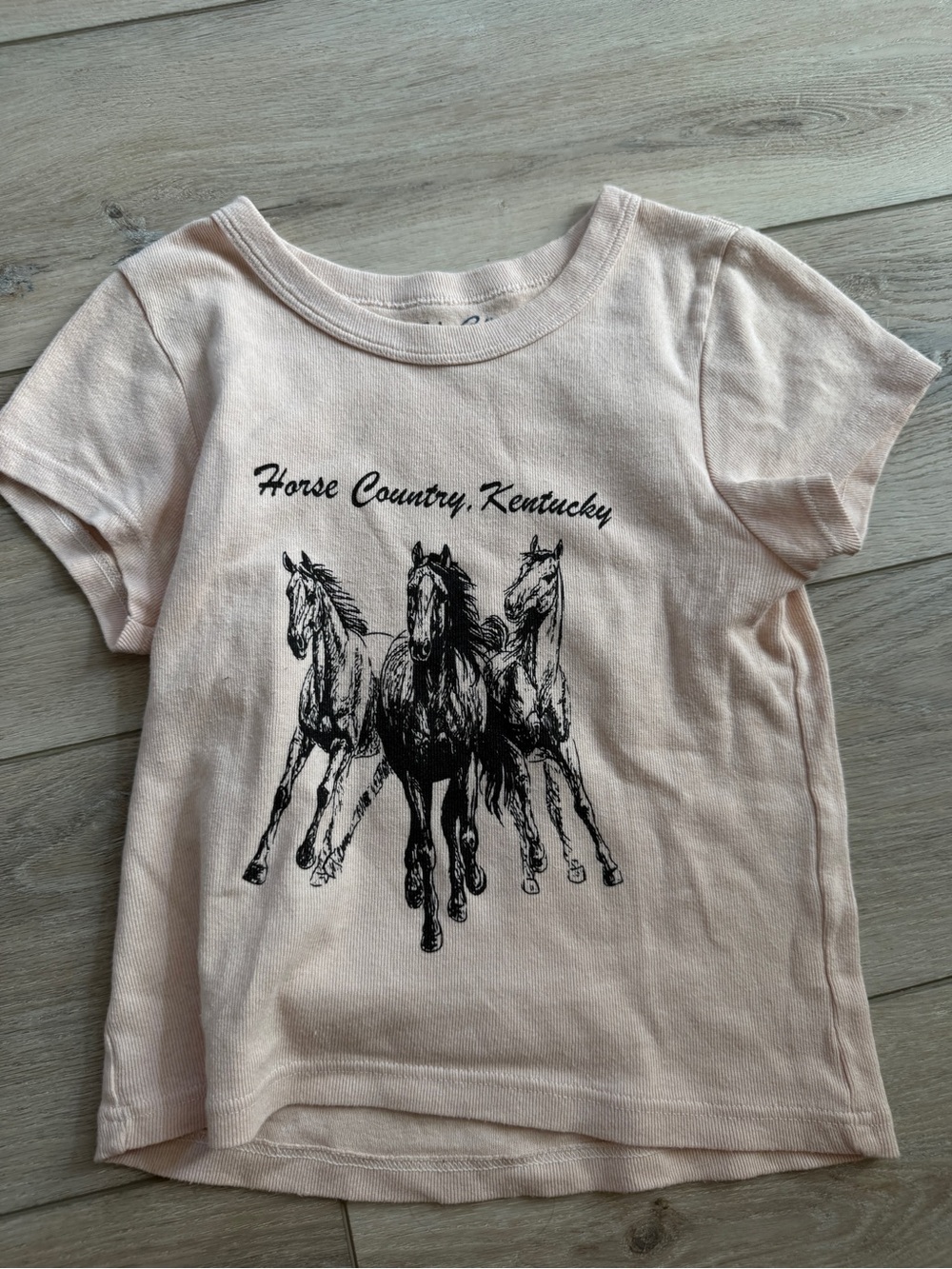 Brandy Melville Pale Pink Tee with Black Horse Graphic